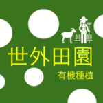 螢幕擷取畫面 2025-11-12 213239